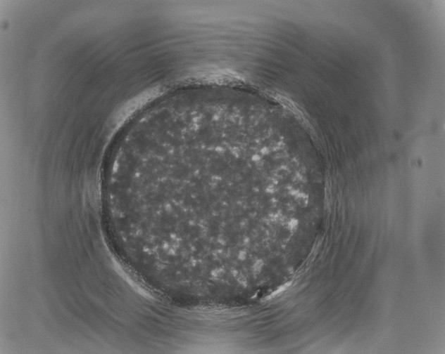 X0000080730630200701051100