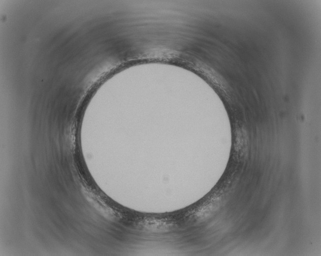 X0000080730632200701051100