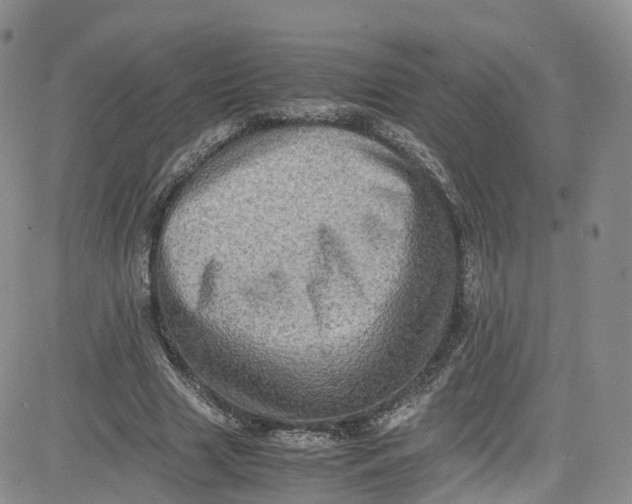 X0000080730633200701051100