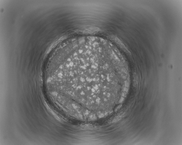 X0000080730634200701051100