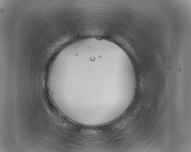 X0000080730635200701051100