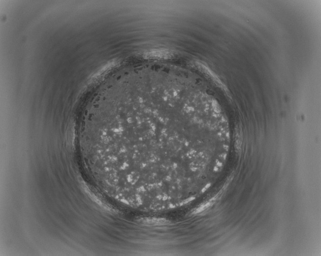 X0000080730637200701051100