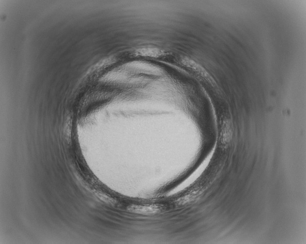 X0000080730639200701051100