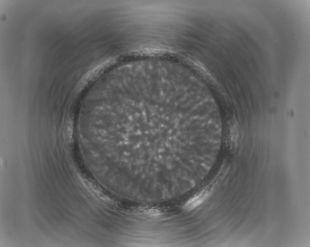 X0000080730640200701051100