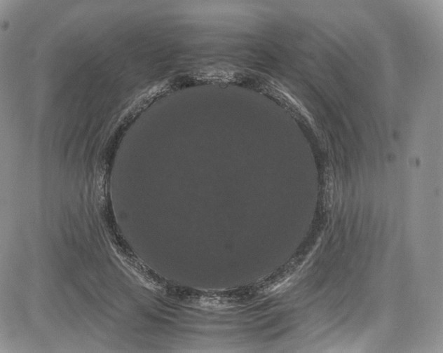 X0000080730641200701051100