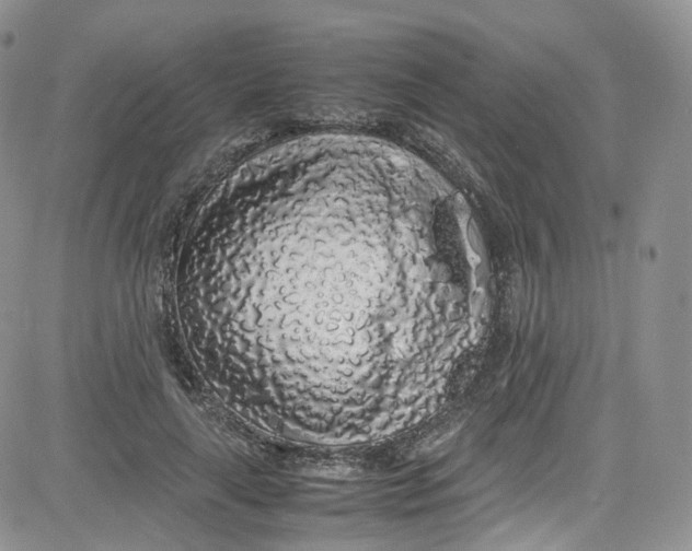 X0000080730643200701051100