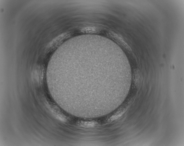 X0000080730645200701051100