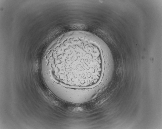 X0000080730647200701051100