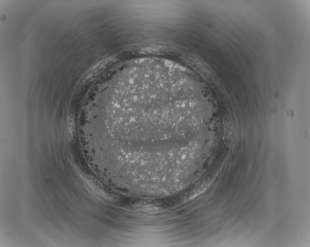 X0000080730648200701051100