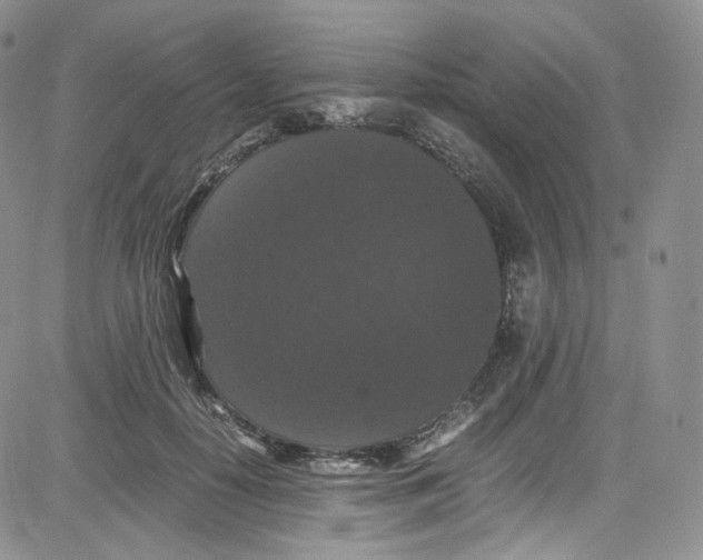 X0000080730650200701051100