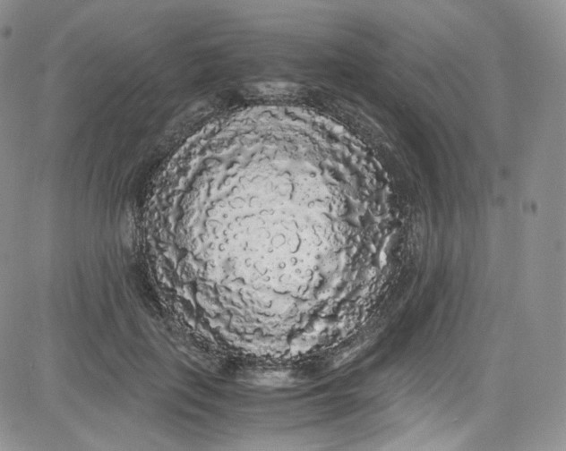 X0000080730651200701051100