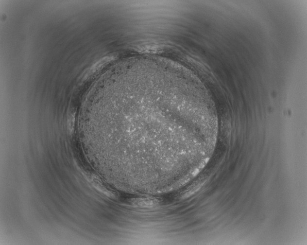 X0000080730652200701051100