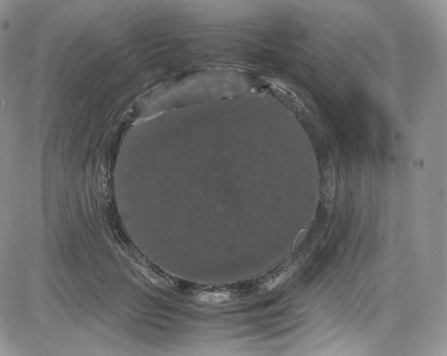 X0000080730653200701051100