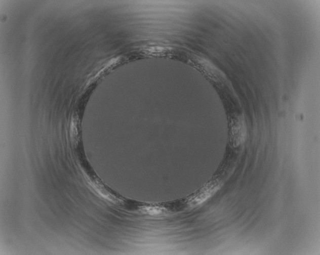 X0000080730654200701051100