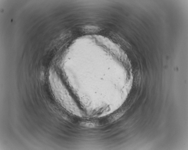 X0000080730655200701051100