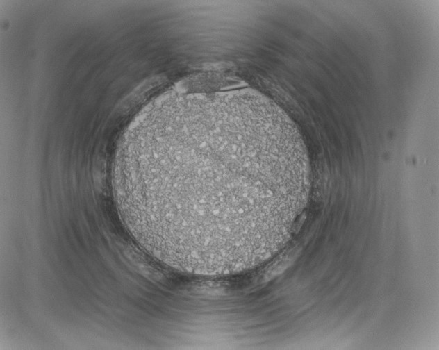 X0000080730656200701051100