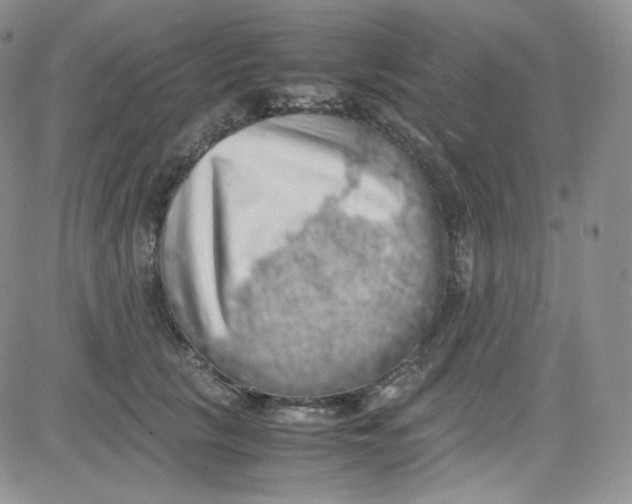 X0000080730657200701051100