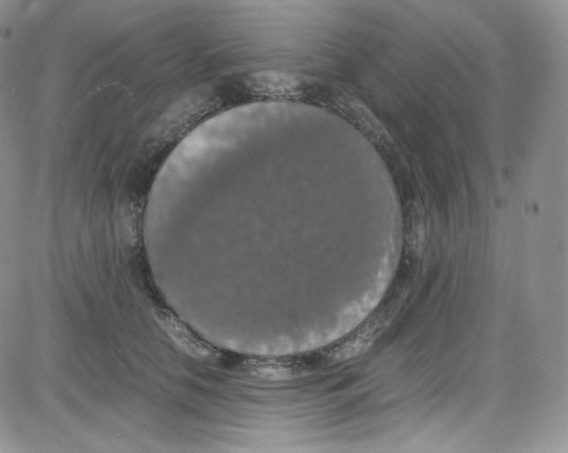 X0000080730658200701051100