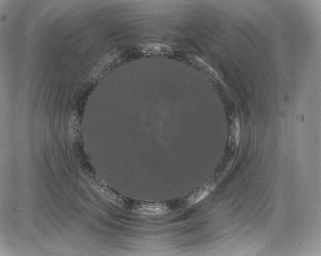 X0000080730659200701051100