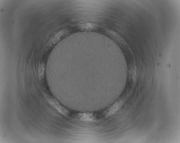 X0000080730660200701051100