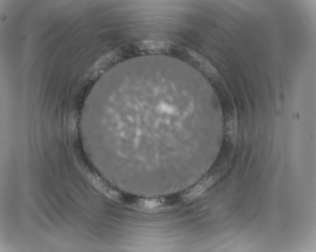 X0000080730662200701051100