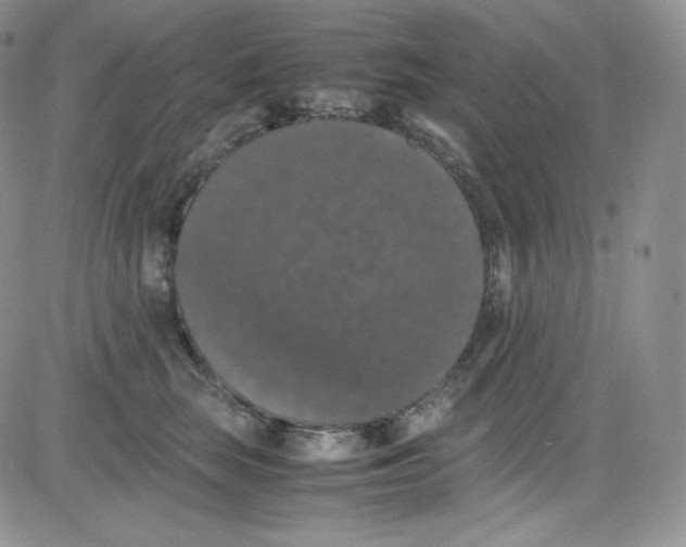 X0000080730663200701051100