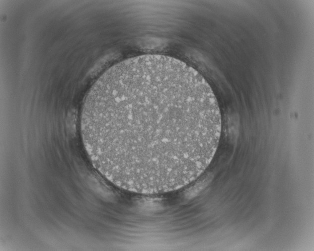 X0000080730664200701051100