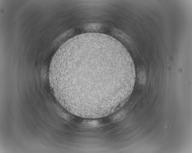 X0000080730665200701051100