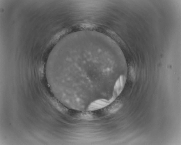 X0000080730668200701051100