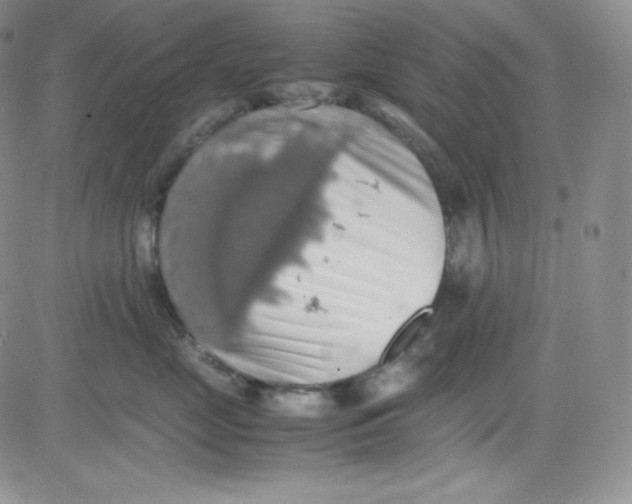 X0000080730669200701051100