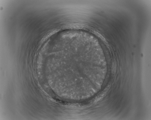 X0000080730673200701051100