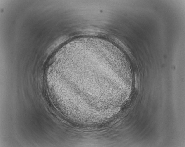 X0000080730675200701051100