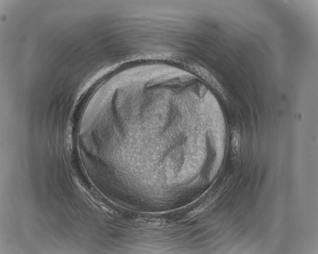 X0000080730676200701051100