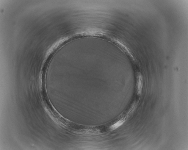 X0000080730678200701051100