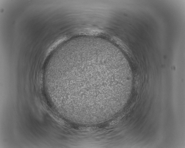 X0000080730679200701051100