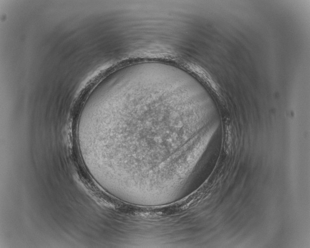 X0000080730680200701051100