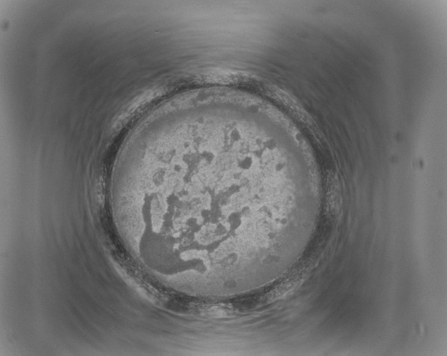 X0000080730683200701051059