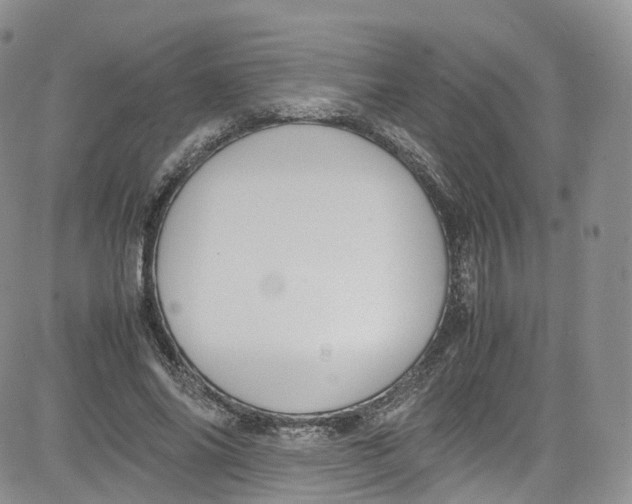 X0000080730686200701051059