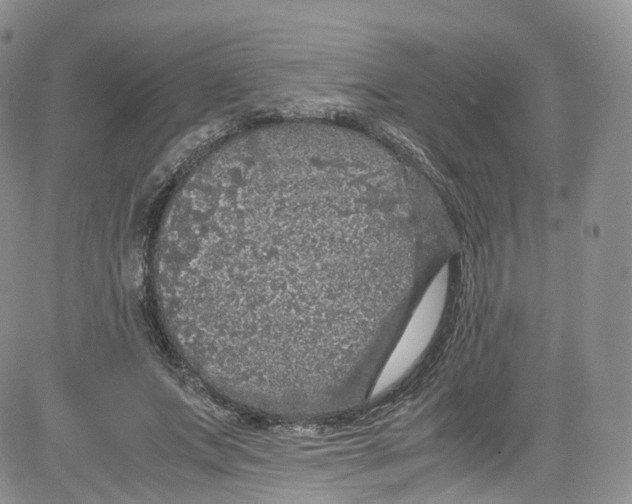 X0000080730687200701051059