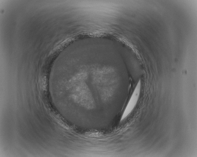 X0000080730689200701051059