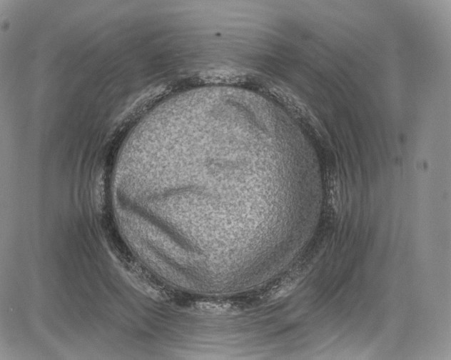 X0000080730690200701051059