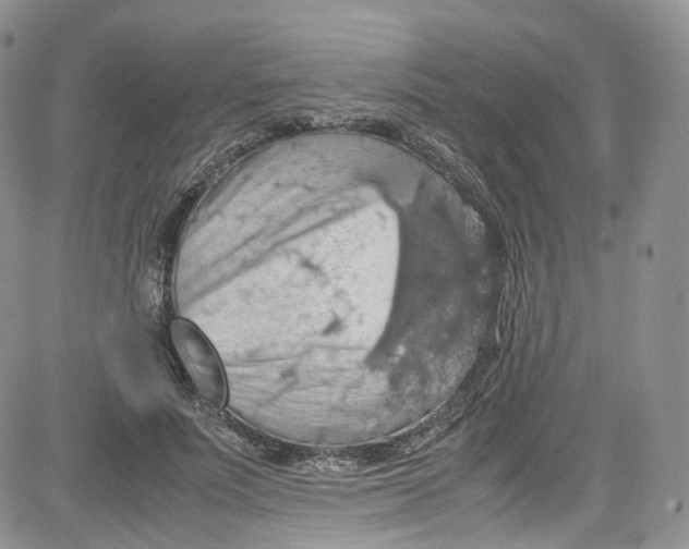 X0000080730691200701051059