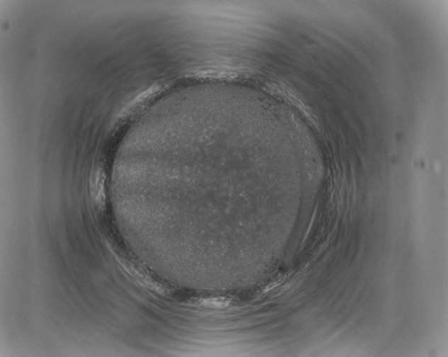 X0000080730692200701051059