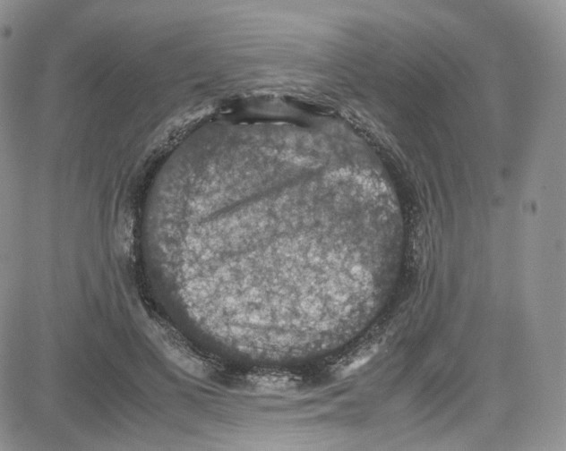 X0000080730693200701051059