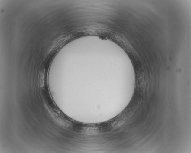 X0000080730694200701051059