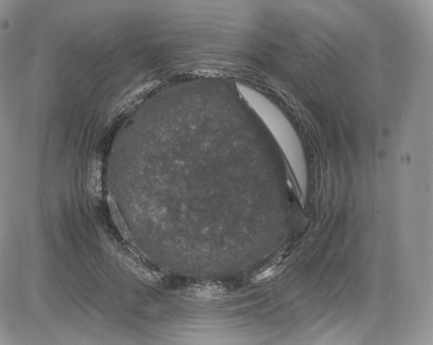 X0000080730696200701051059