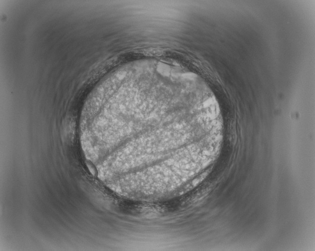 X0000080730697200701051059