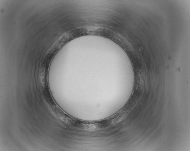 X0000080730698200701051059