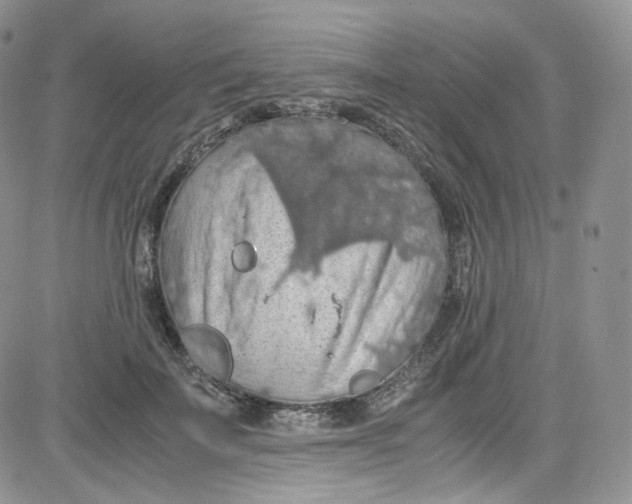 X0000080730699200701051059