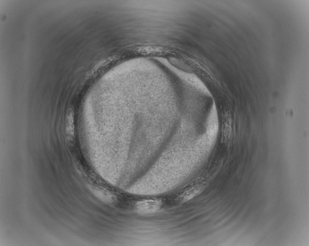 X0000080730700200701051059